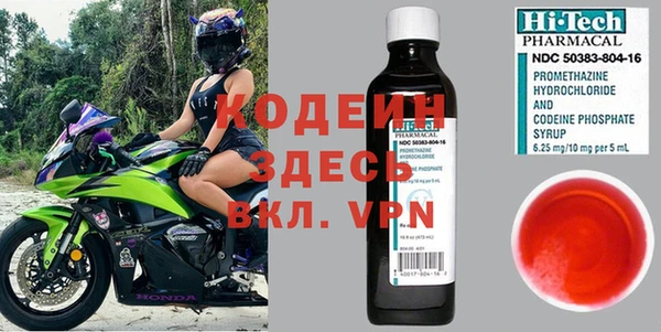эйфоретик Бородино