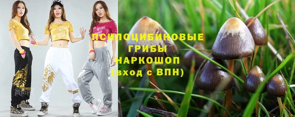 прущая мука Верея